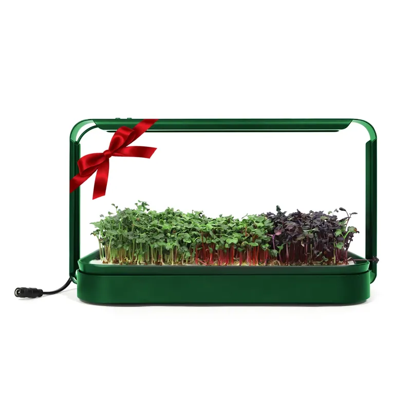 クリスマスギフトアイデア DIY 家庭用吊り下げ式自動給水ス - Smart Garden Ideas のレビューと価格