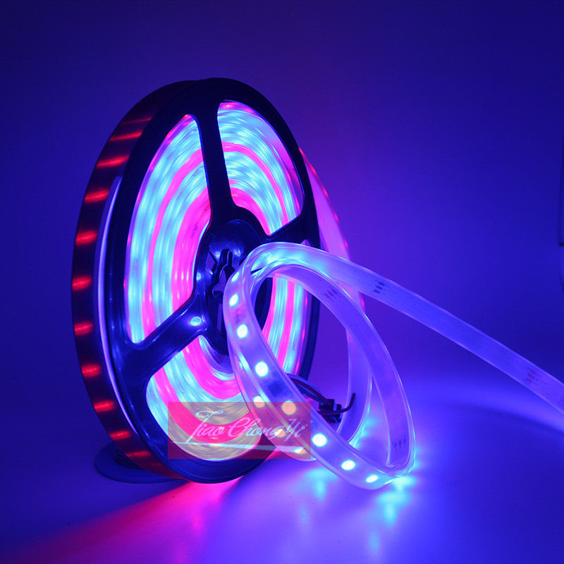 DC12V 5M チェイシングドリームマジックカラー RGB - Smart Garden Diy のレビューと価格